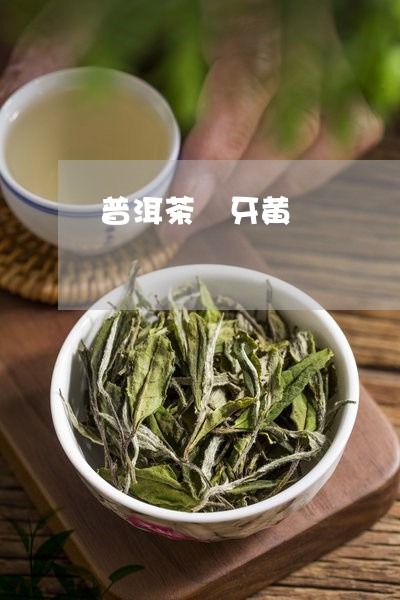 普洱茶 牙黄/2023042991538